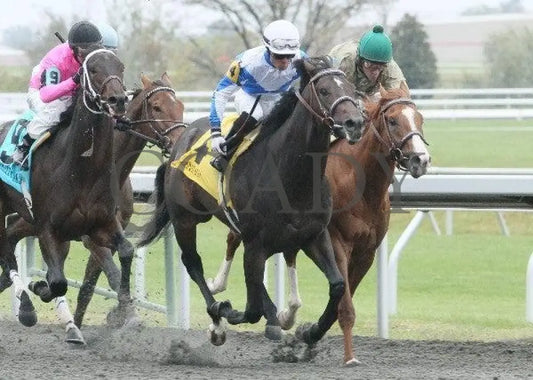 Vee One Rotate - 2 102011 Race 04 Keeneland