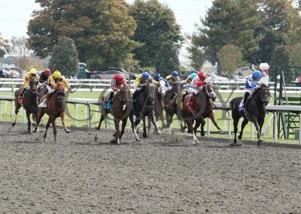 Vee One Rotate - 3 100911 Race 02 Keeneland