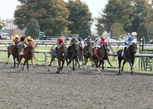 Vee One Rotate - 3 100911 Race 02 Keeneland