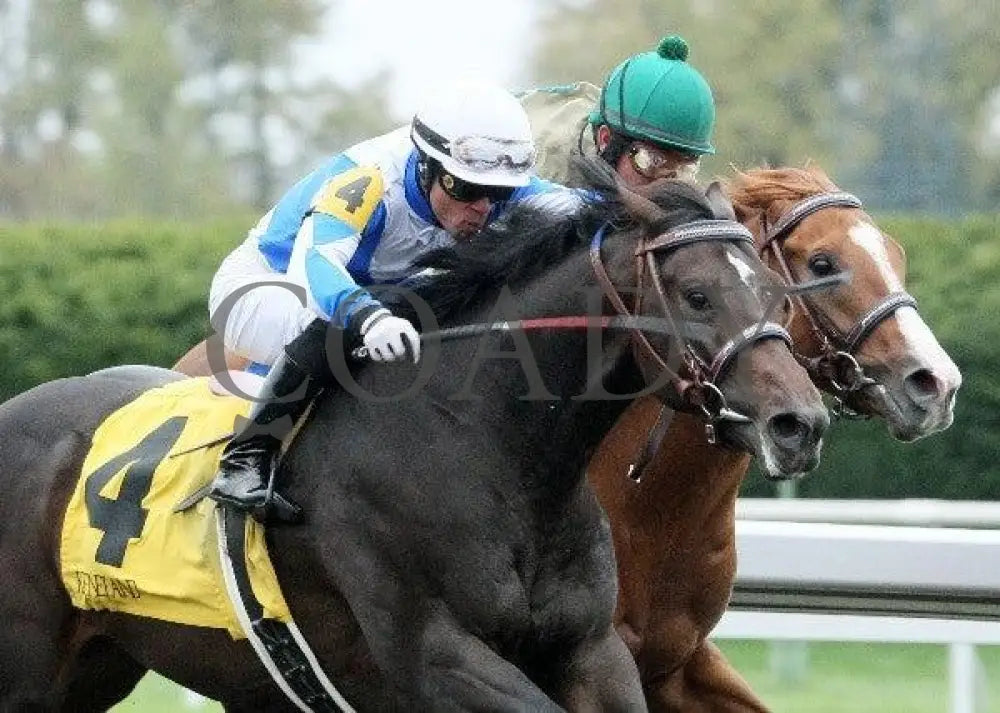 Vee One Rotate - 3 102011 Race 04 Keeneland