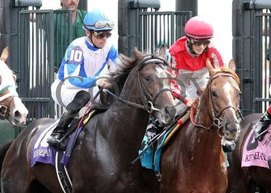 Vee One Rotate - 4 100911 Race 02 Keeneland