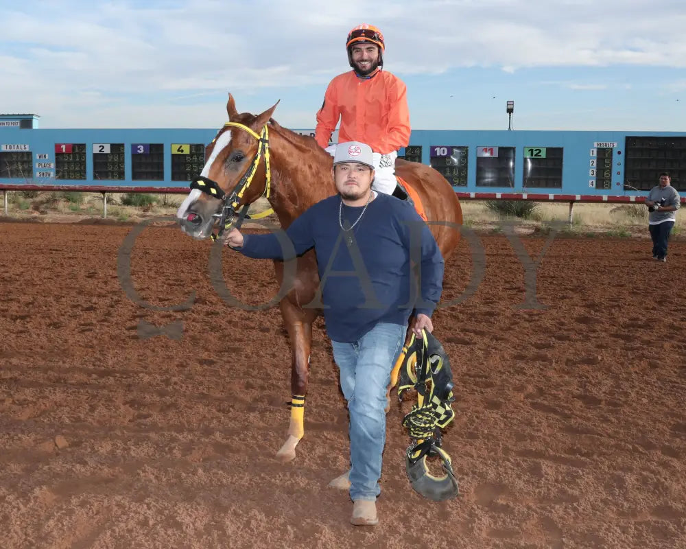Vegas Trick - Hobbs America Derby Invitational Stakes 12-15-24 R10 Zia Park Return Shots