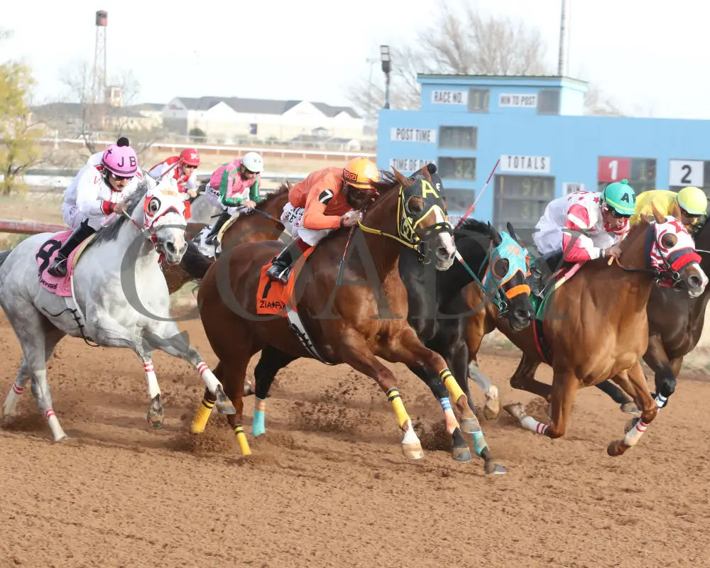 Vegas Trick - Hobbs America Derby Invitational Stakes 12-15-24 R10 Zia Park Stretch