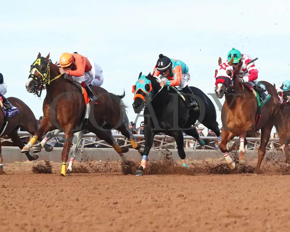 Vegas Trick - Hobbs America Derby Invitational Stakes 12-15-24 R10 Zia Park Under Rail