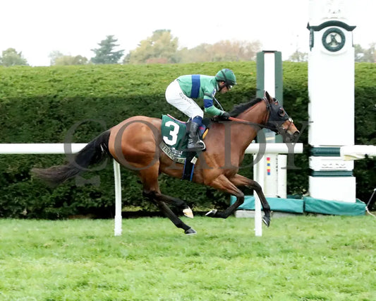VENENCIA - The Rood & Riddle Dowager - G3 - 10-19-25 - R08 - KEE - Finish 01 Keeneland