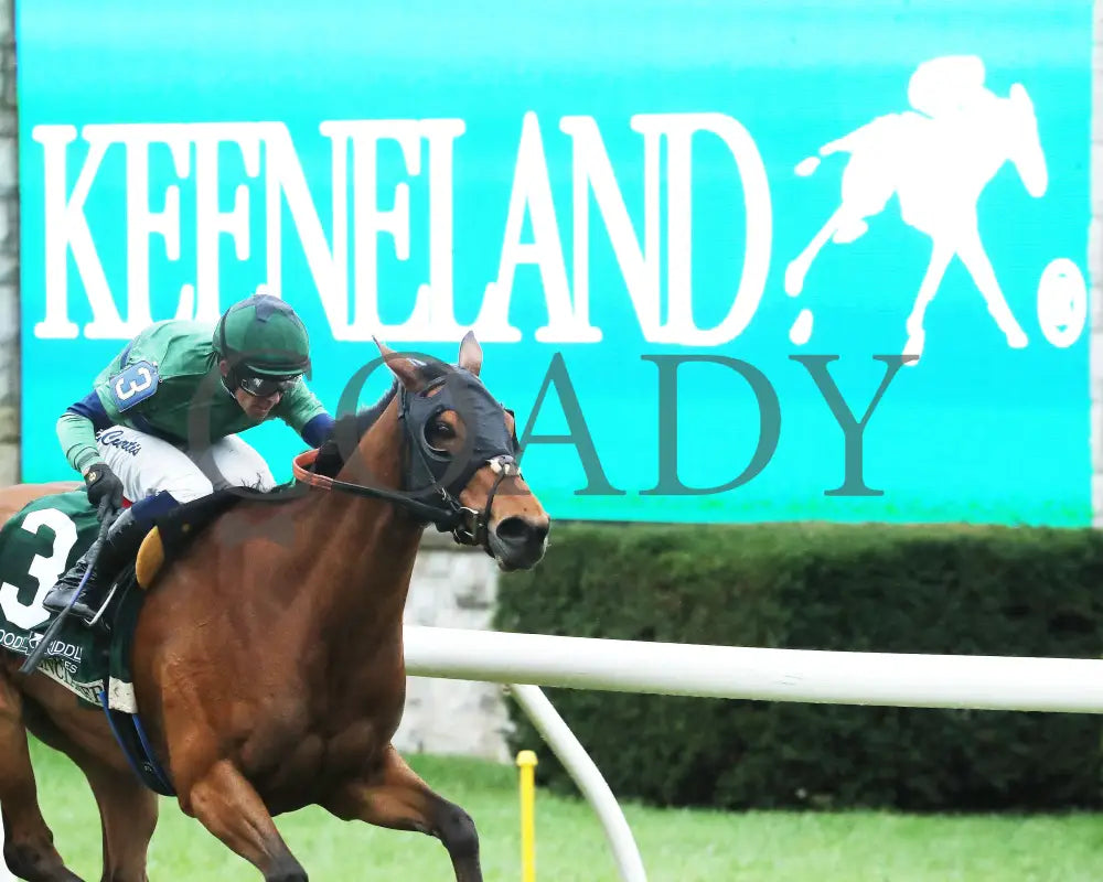 VENENCIA - The Rood & Riddle Dowager - G3 - 10-19-25 - R08 - KEE - Finish 02 Keeneland