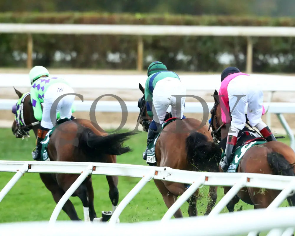 VENENCIA - The Rood & Riddle Dowager - G3 - 10-19-25 - R08 - KEE - First Turn 01 Keeneland