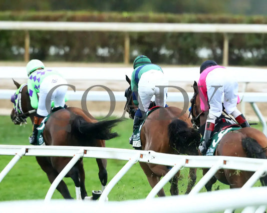 VENENCIA - The Rood & Riddle Dowager - G3 - 10-19-25 - R08 - KEE - First Turn 01 Keeneland