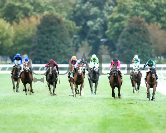 VENENCIA - The Rood & Riddle Dowager - G3 - 10-19-25 - R08 - KEE - Head On 01 Keeneland