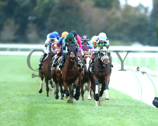 VENENCIA - The Rood & Riddle Dowager - G3 - 10-19-25 - R08 - KEE - Head On 02 Keeneland