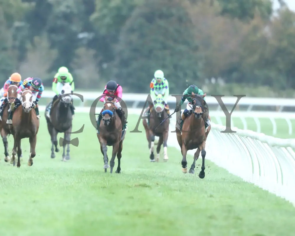 VENENCIA - The Rood & Riddle Dowager - G3 - 10-19-25 - R08 - KEE - Head On 03 Keeneland