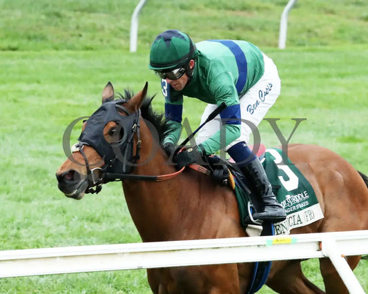 VENENCIA - The Rood & Riddle Dowager - G3 - 10-19-25 - R08 - KEE - Inside Finish 01 Keeneland