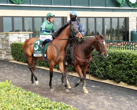 VENENCIA - The Rood & Riddle Dowager - G3 - 10-19-25 - R08 - KEE - Post Parade 02 Keeneland