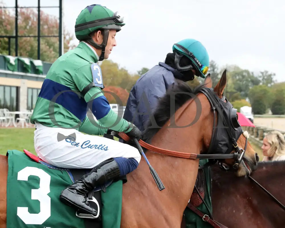 VENENCIA - The Rood & Riddle Dowager - G3 - 10-19-25 - R08 - KEE - Post Parade 03 Keeneland