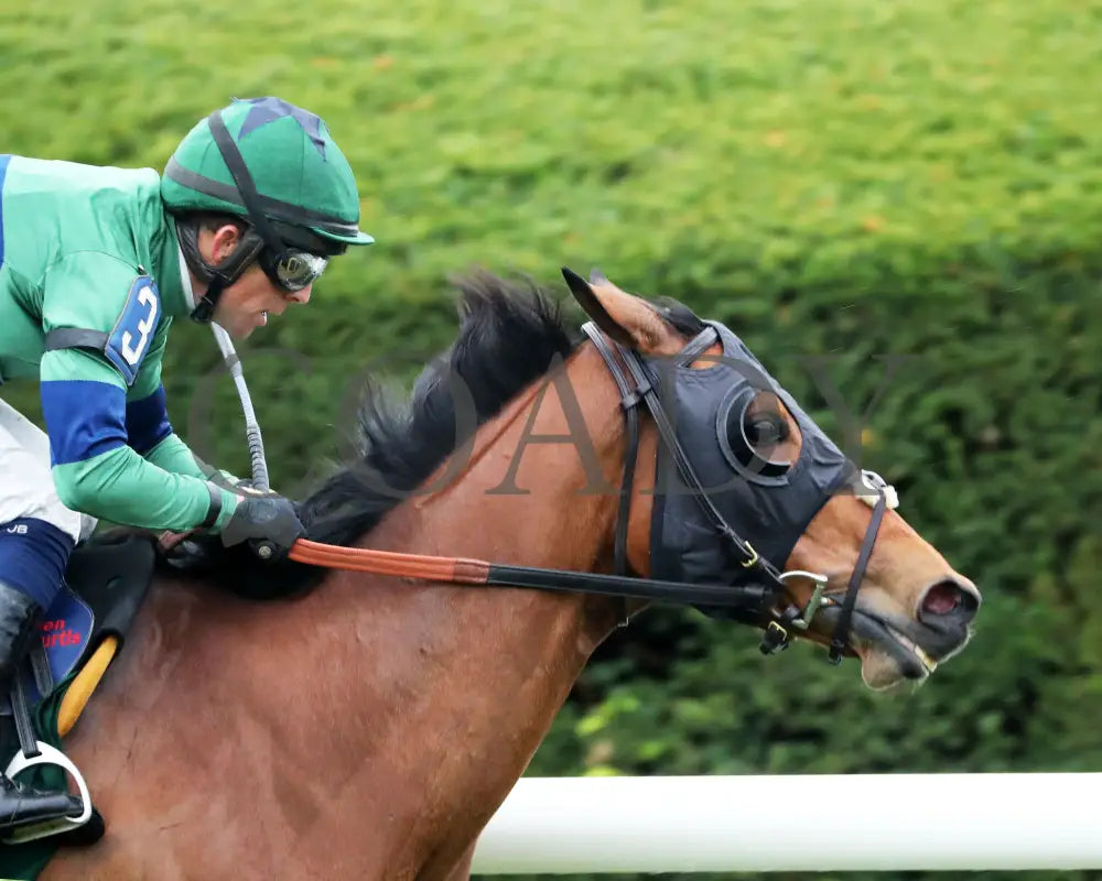 VENENCIA - The Rood & Riddle Dowager - G3 - 10-19-25 - R08 - KEE - Tight Finish 01 Keeneland