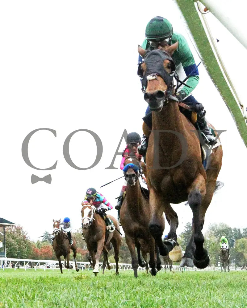 VENENCIA - The Rood & Riddle Dowager - G3 - 10-19-25 - R08 - KEE - Under Rail 01 Keeneland