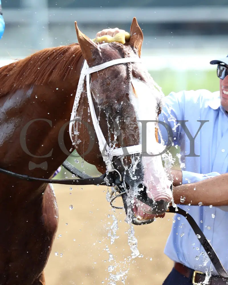 VERIFIRE - 062925 - Race 10 - CD - Come Back 02 Churchill Downs