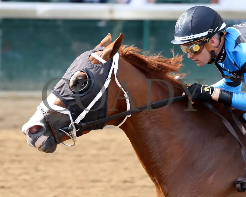 VERIFIRE - 062925 - Race 10 - CD - Inside Finish 04 Churchill Downs