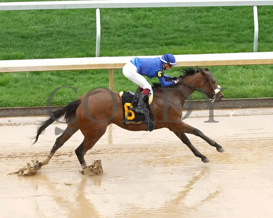 VERITY - The MiddleGround Capital Beaumont G2 - 04-06-25 - R09 - KEE - Aerial Finish 01 Keeneland