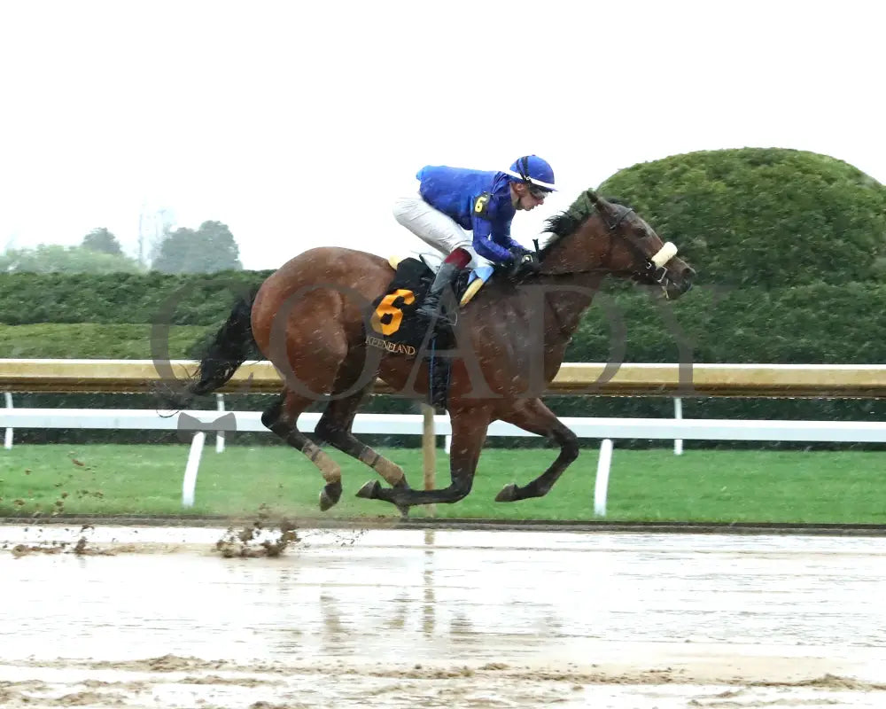 VERITY - The MiddleGround Capital Beaumont G2 - 04-06-25 - R09 - KEE - Finish 01 Keeneland