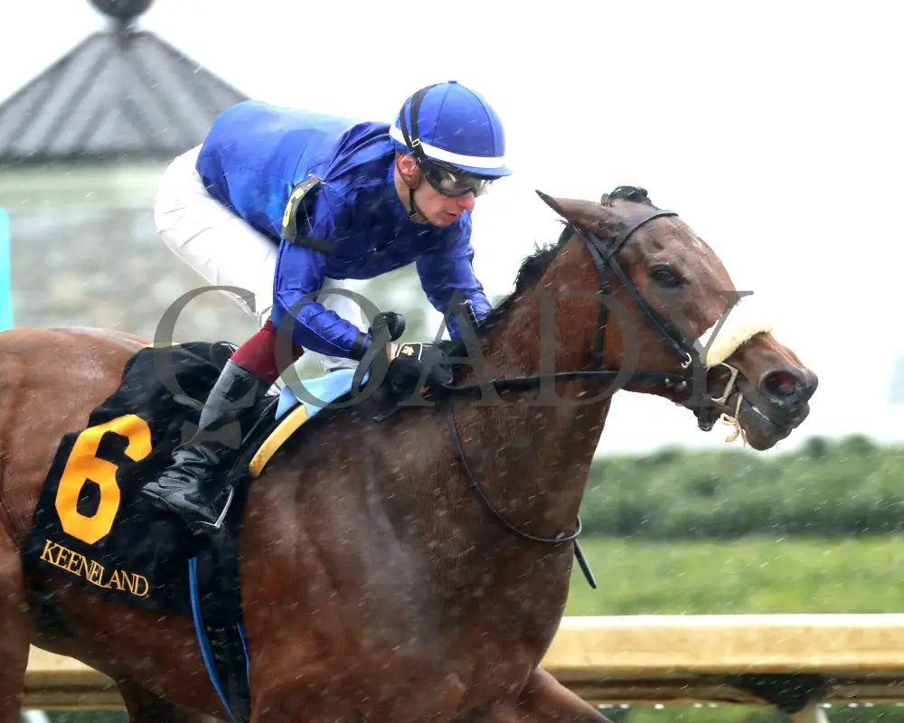 VERITY - The MiddleGround Capital Beaumont G2 - 04-06-25 - R09 - KEE - Finish 02 Keeneland
