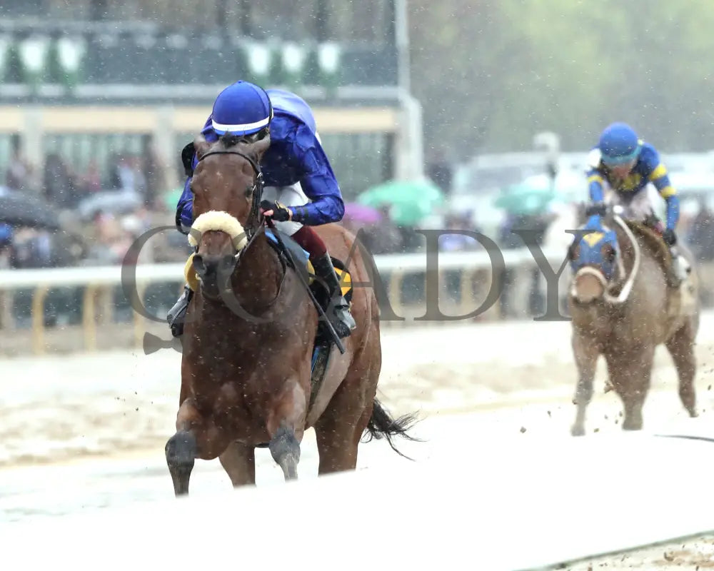 VERITY - The MiddleGround Capital Beaumont G2 - 04-06-25 - R09 - KEE - Inside Finish 01 Keeneland
