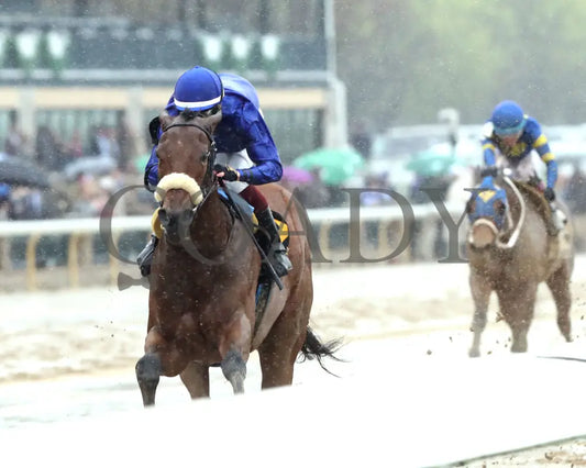 VERITY - The MiddleGround Capital Beaumont G2 - 04-06-25 - R09 - KEE - Inside Finish 01 Keeneland