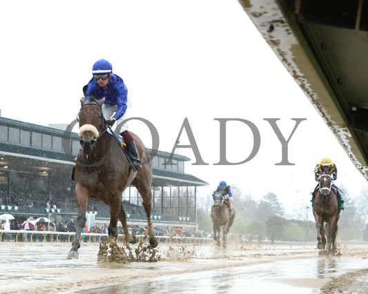 VERITY - The MiddleGround Capital Beaumont G2 - 04-06-25 - R09 - KEE - Under Rail 01 Keeneland