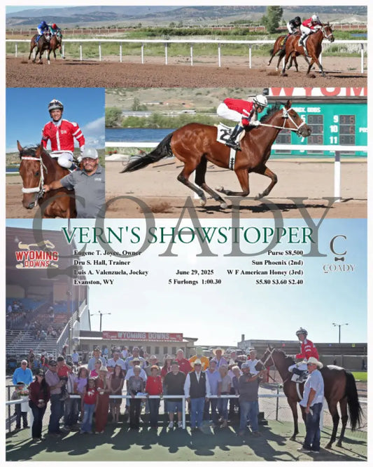 VERN’S SHOWSTOPPER - 06-29-25 - R10 - WYO Wyoming Downs