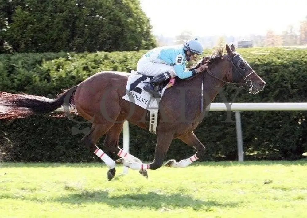 Versailles Road - 1 101411 Race 07 Keeneland