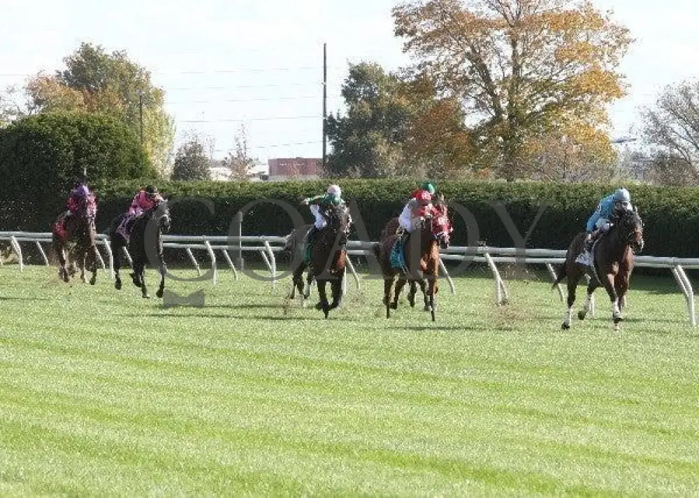 Versailles Road - 2 101411 Race 07 Keeneland