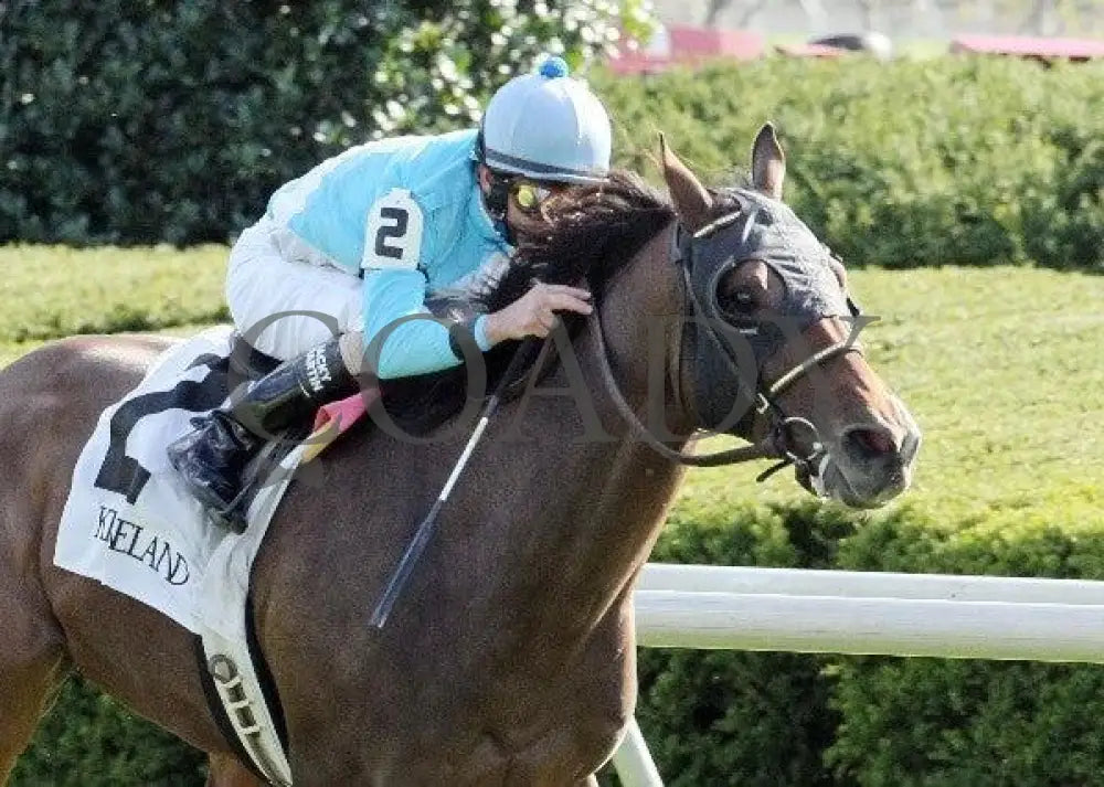 Versailles Road - 3 101411 Race 07 Keeneland
