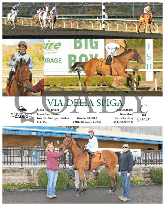 VIA DELIA SPIGA - 10-20-25 - R04 - PID Presque Isle Downs