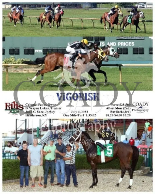 Vigorish - 070414 Race 09 Elp Ellis Park