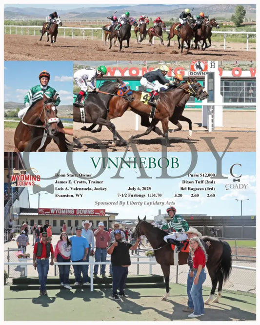 VINNIEBOB - 07-06-25 - R09 - WYO Wyoming Downs