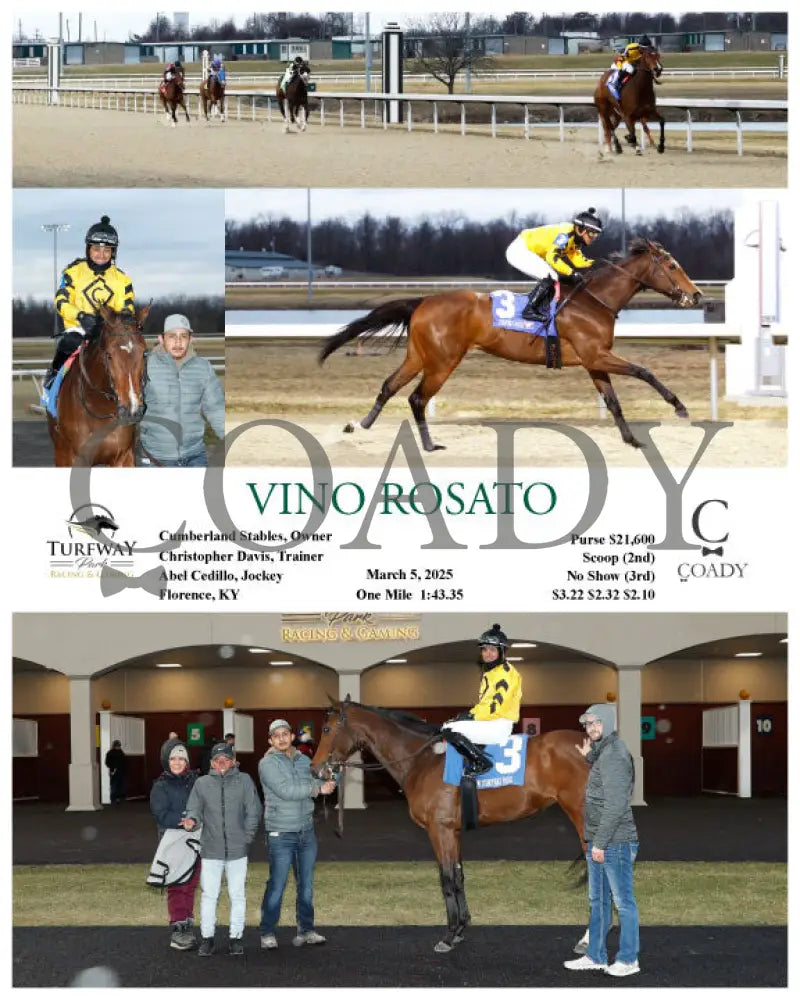 VINO ROSATO - 03-05-25 - R01 - TP Turfway Park