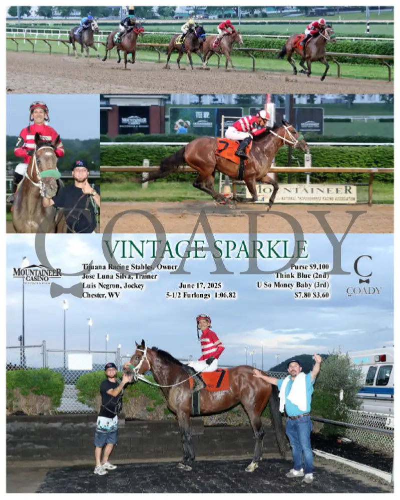 VINTAGE SPARKLE - 06-17-25 - R05 - MNR Mountaineer Park