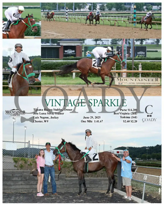 VINTAGE SPARKLE - 06-29-25 - R03 - MNR Mountaineer Park