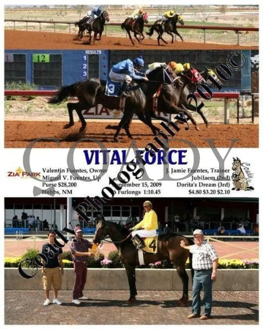 Vital Force - 9 15 2009 Zia Park
