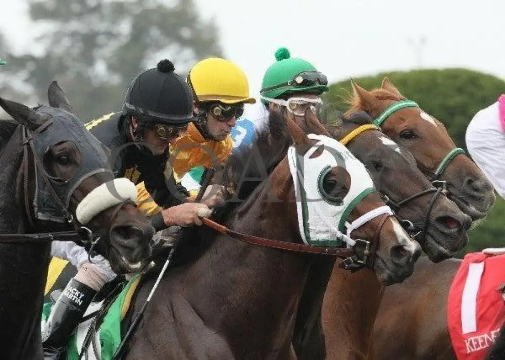 Vivere - 3 101211 Race 03 Keeneland