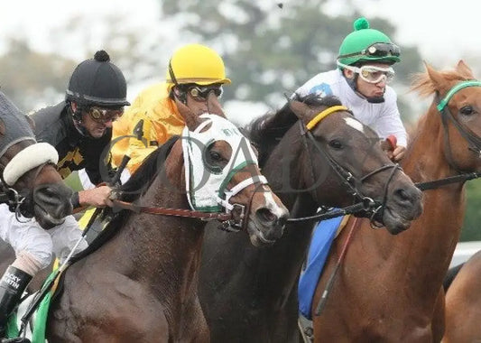 Vivere - 4 101211 Race 03 Keeneland