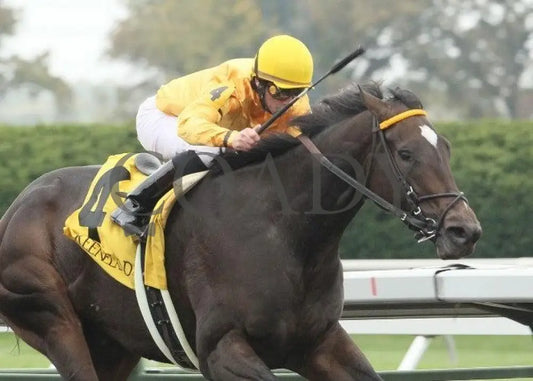 Vivere - 5 101211 Race 03 Keeneland