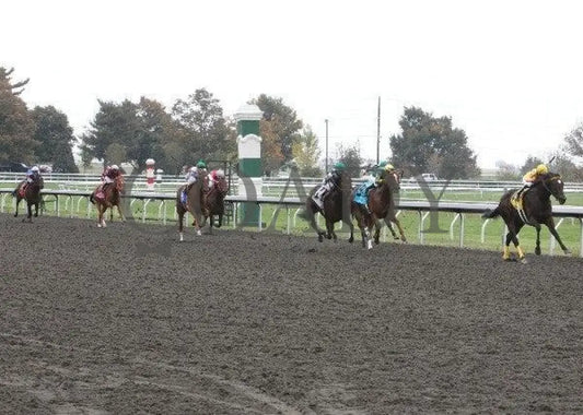 Vivere - 6 101211 Race 03 Keeneland