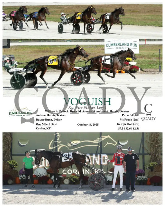 VOGUISH - 101425 - Race 08 - CMR Presque Isle Downs