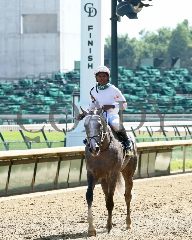 Volatile - Aristides 32Nd Running 06-06-20 R08 Cd Come Back 02 Churchill Downs