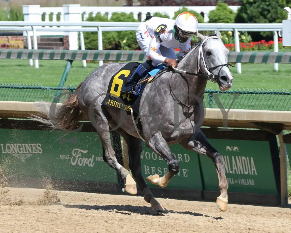 Volatile - Aristides 32Nd Running 06-06-20 R08 Cd Finish 02 Churchill Downs