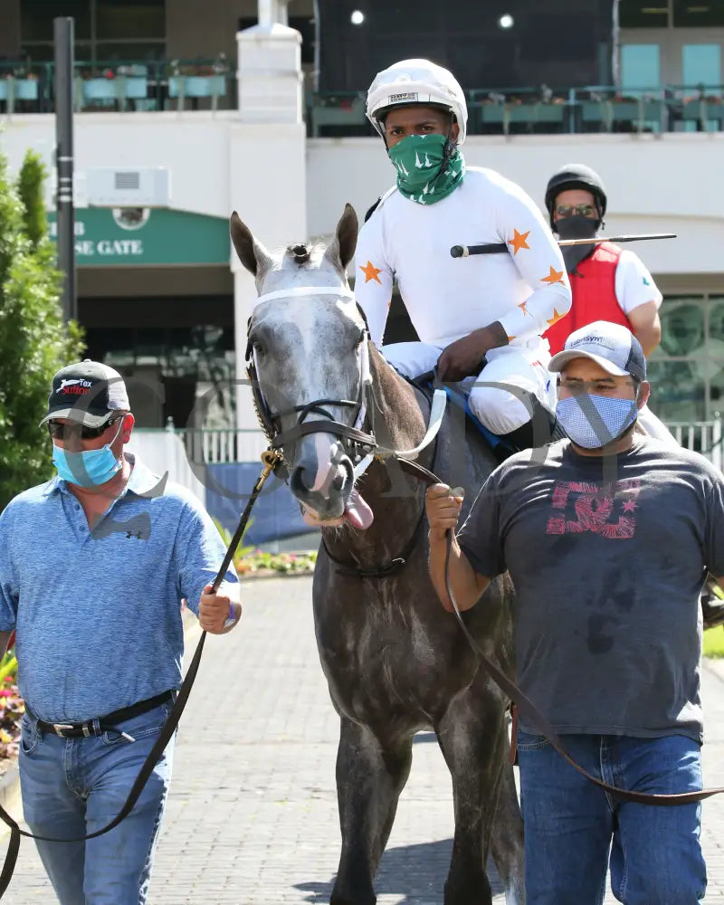 Volatile - Aristides 32Nd Running 06-06-20 R08 Cd Paddock 01 Churchill Downs