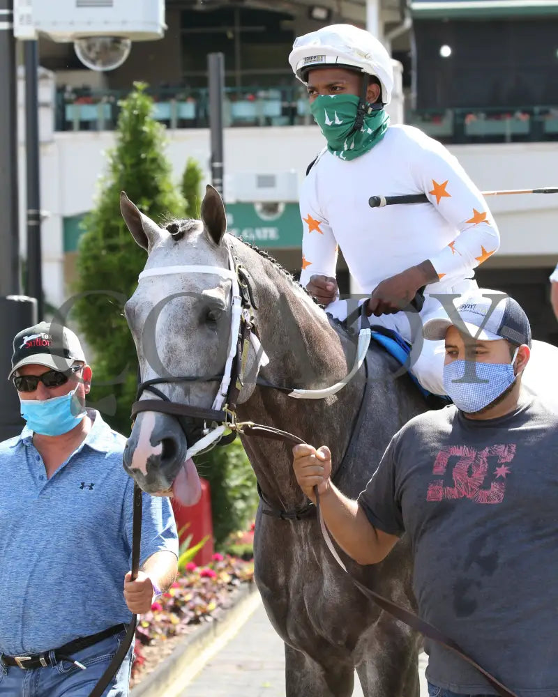 Volatile - Aristides 32Nd Running 06-06-20 R08 Cd Paddock 02 Churchill Downs