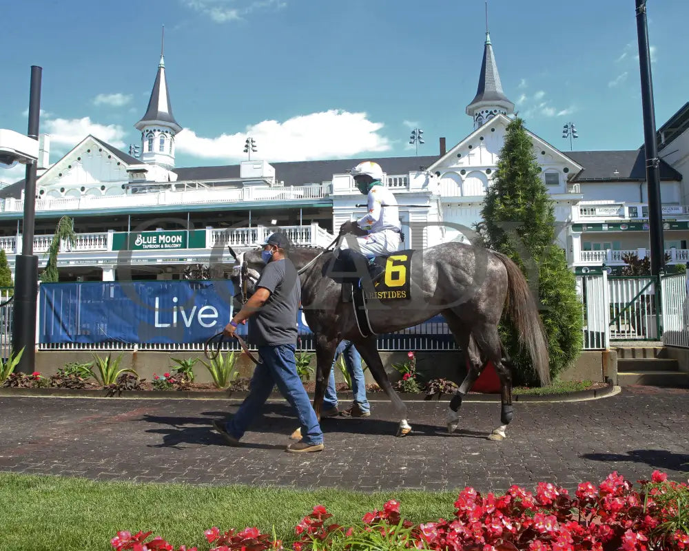 Volatile - Aristides 32Nd Running 06-06-20 R08 Cd Paddock 03 Churchill Downs