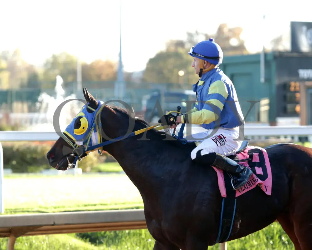 Voodoo Zip - The Canterbury Claiming Crown #6 11-16-24 R08 Cd Come Back 04 Churchill Downs